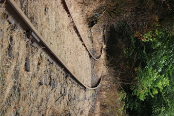 Enlarge photo 21