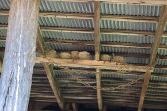 Enlarge photo 22