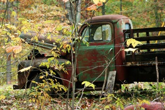 Enlarge photo 25