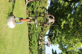 Enlarge photo 37