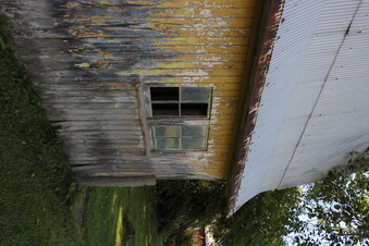Enlarge photo 43