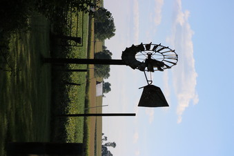 Enlarge photo 47