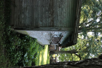 Enlarge photo 48