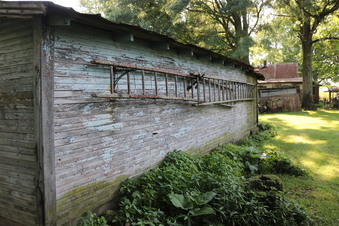Enlarge photo 49
