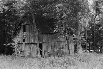 Enlarge photo 52