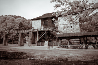 Enlarge photo 54