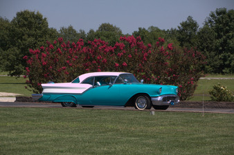 Enlarge photo 61