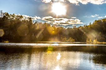 Enlarge photo 57