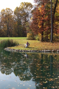 Enlarge photo 181