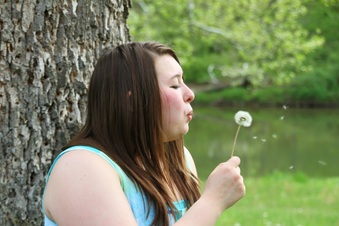 Enlarge photo 79
