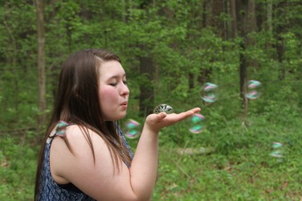 Enlarge photo 146