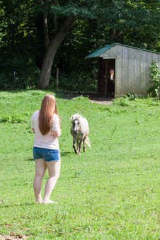 Enlarge photo 83