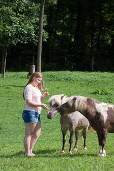 Enlarge photo 84