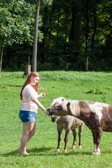 Enlarge photo 85