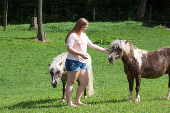 Enlarge photo 86