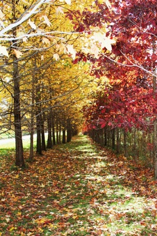 Enlarge photo 135