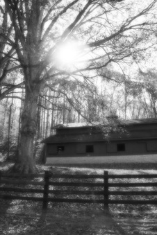Enlarge photo 106