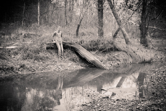 Enlarge photo 184