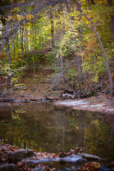 Enlarge photo 91