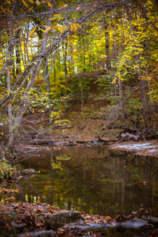 Enlarge photo 93