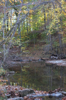 Enlarge photo 94