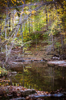 Enlarge photo 95