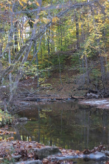 Enlarge photo 96