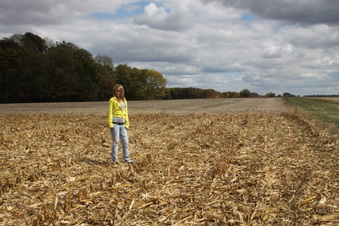 Enlarge photo 70