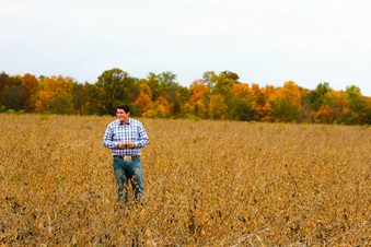 Enlarge photo 156