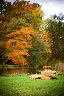 Enlarge photo 66