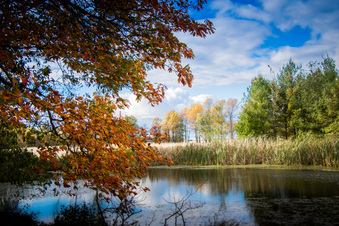 Enlarge photo 163