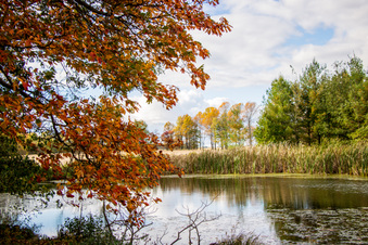 Enlarge photo 164