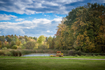 Enlarge photo 197