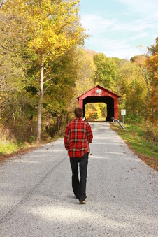 Enlarge photo 174