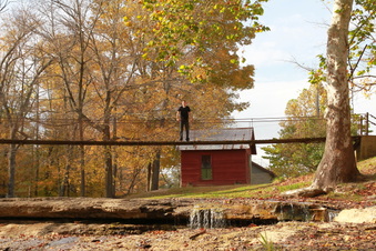 Enlarge photo 231