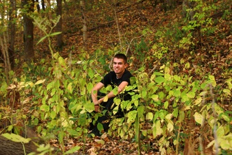 Enlarge photo 285