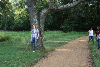 Enlarge photo 25