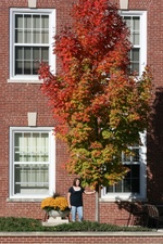 Enlarge photo 23