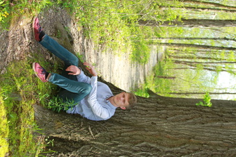 Enlarge photo 54