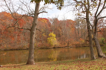 Enlarge photo 6