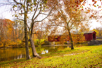 Enlarge photo 7