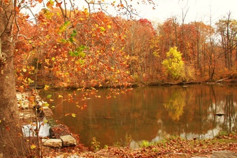 Enlarge photo 10