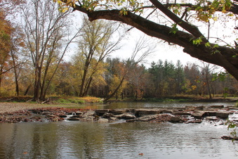 Enlarge photo 99