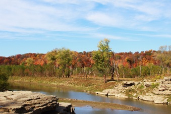 Enlarge photo 223