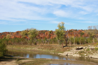 Enlarge photo 231