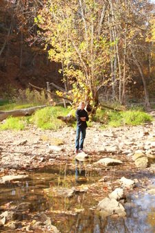Enlarge photo 330