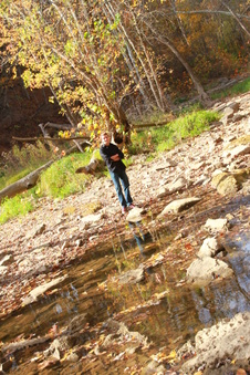 Enlarge photo 331