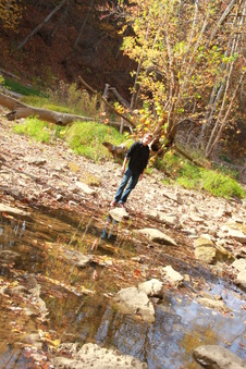 Enlarge photo 332