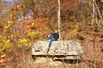 Enlarge photo 348