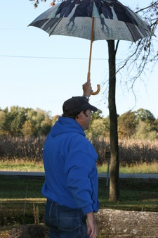 Enlarge photo 56
